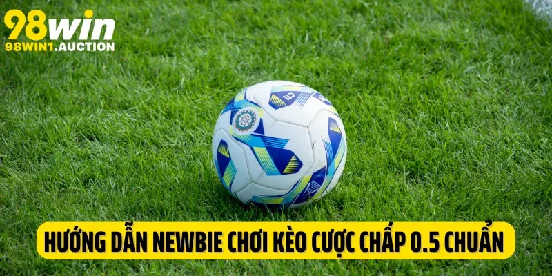 Hướng dẫn newbie chơi kèo cược chấp 0.5 chuẩn xác